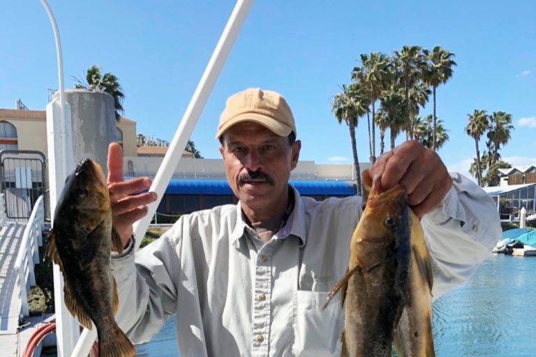 Help David Fight Brain Cancer